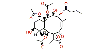 Briaexcavatolide P